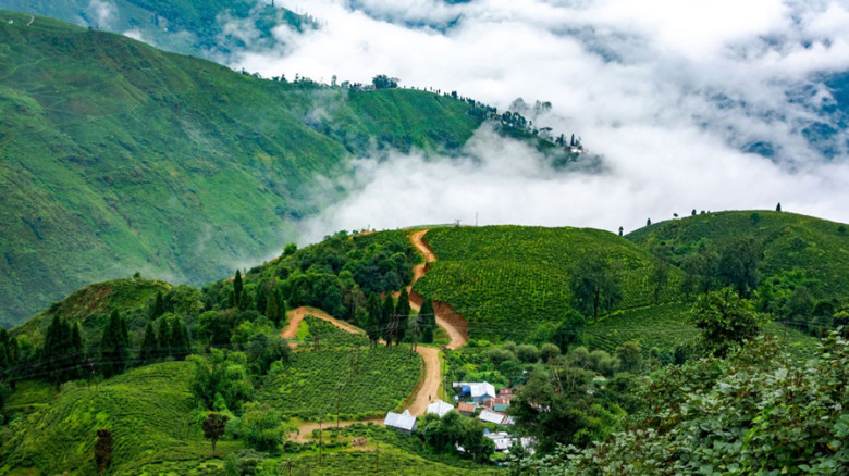 ৩৯ বছর পর পর্যটকদের জন্য আবার খুলছে দার্জিলিংয়ের ট...